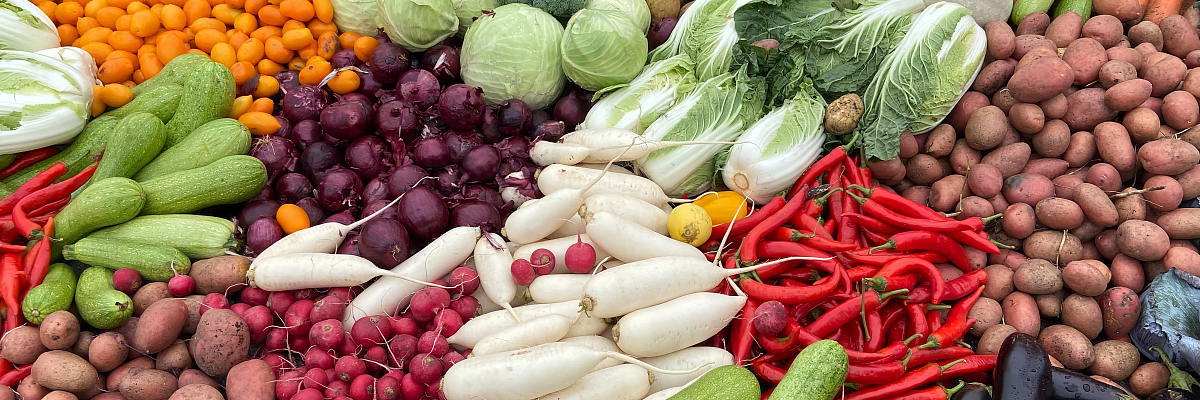 Валовой сбор овощей вырос в Кабардино-Балкарии