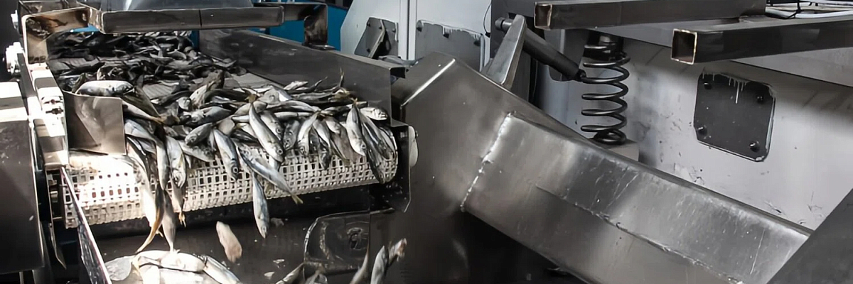 В Севастополе принимают документы на субсидирование предприятий рыбной отрасли