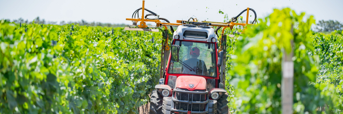 В Севастополе оказывают содействие занятости и развитию сельскохозяйственного предпринимательства среди ветеранов СВО
